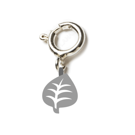 Charm Planta TCG || CATCH THEM ALL -TCG-