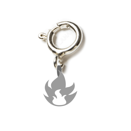 Fire TCG Charm || CATCH THEM ALL -TCG-