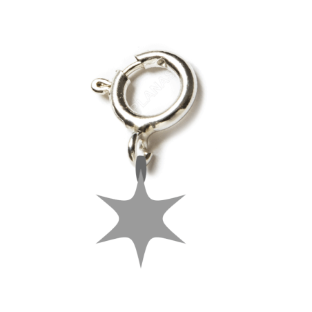 Colorless TCG Charm || CATCH THEM ALL -TCG-